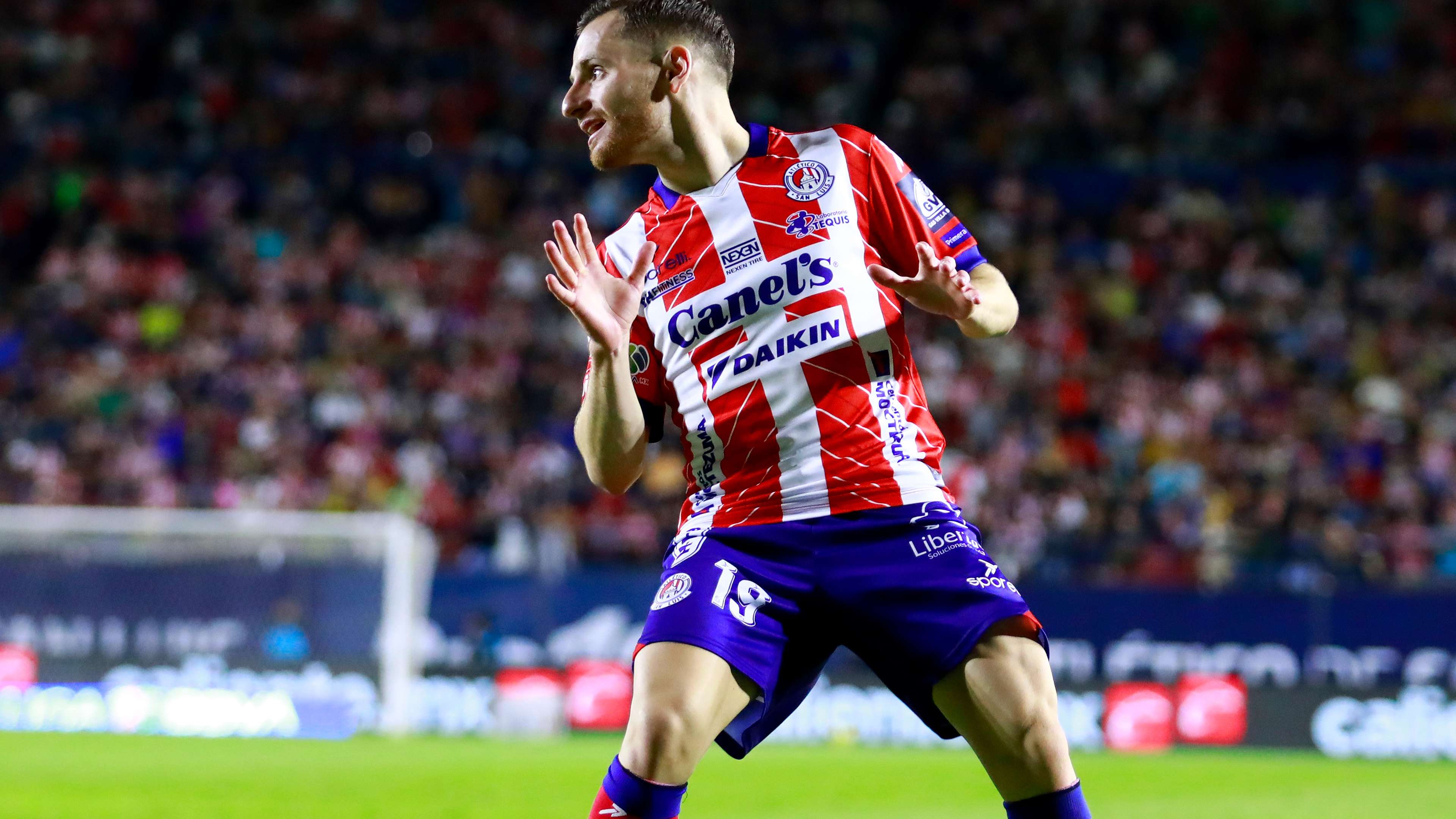 能力强突内 能力强突内